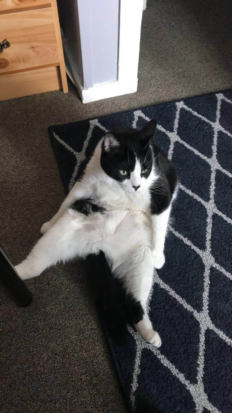 big boi